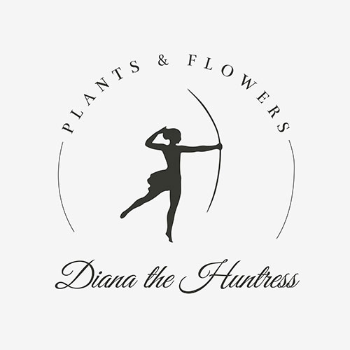 Diana Logo